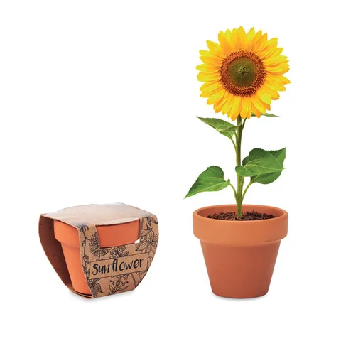 Savist terracotta-pott koos päevalilleseemnetega