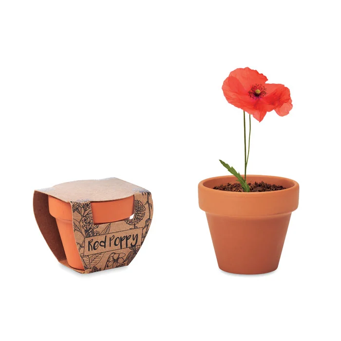 Terracotta skål 'poppy'