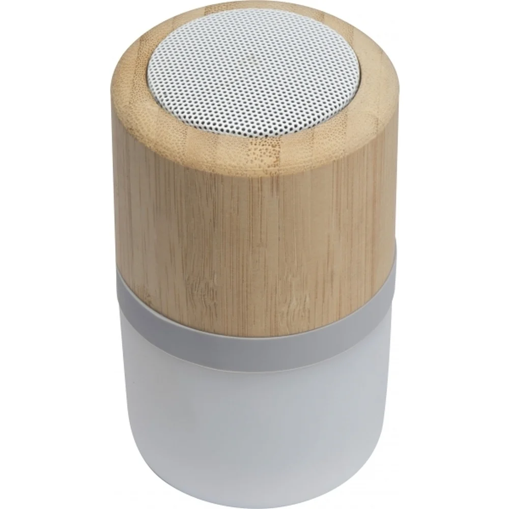Bluetooth-kõlar HAARLEM