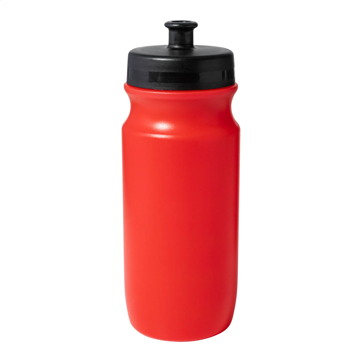 Palmares sportflaska