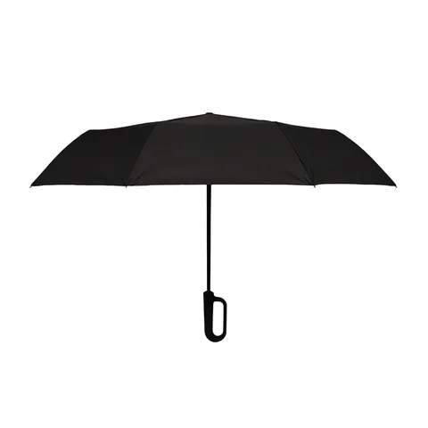 Anmore umbrella