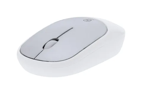 Doryt RCS optiline hiir