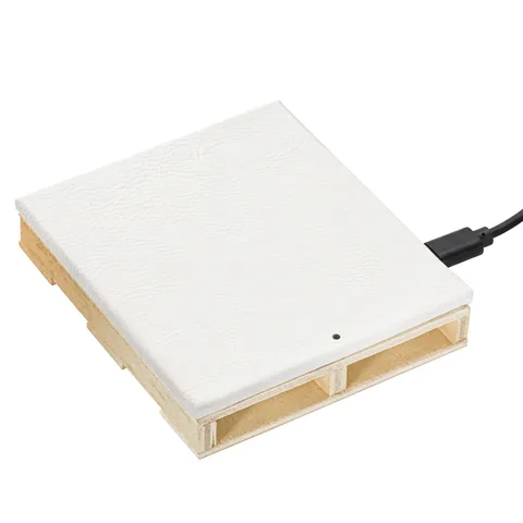 Wireless Charger