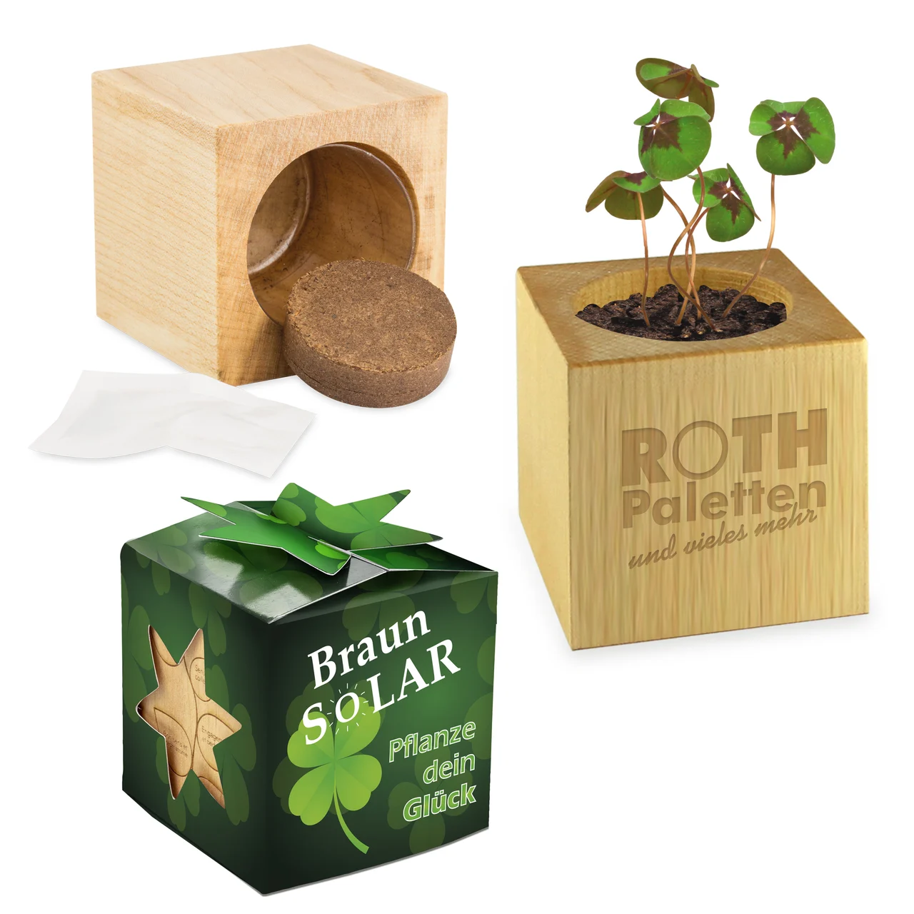 Plant Wood Lucky Clover Star-Box
