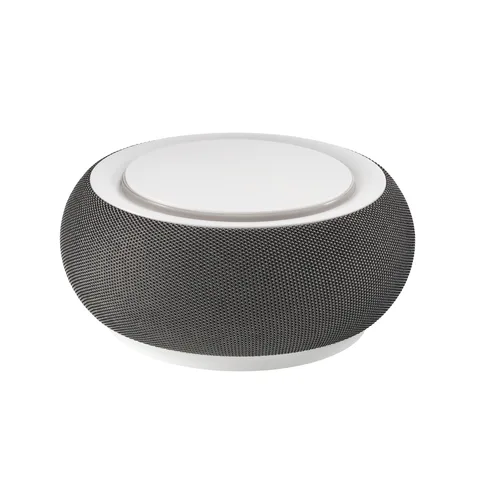 Wireless Speaker incl. 10 watt wireless charger