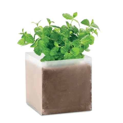 Kasvatusruukku minttu