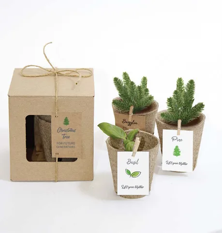 Nature 3er-Pack Pflanzenzucht-Set