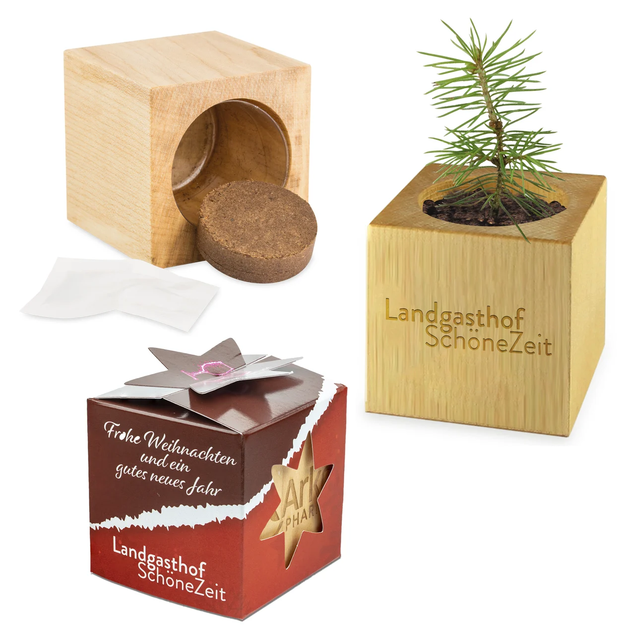 Plant Wood Maxi Star-Box Xmas