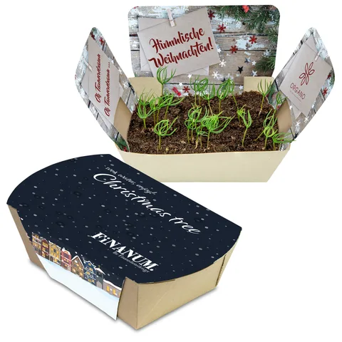 Plantodrome. Pflanzenzucht-Set