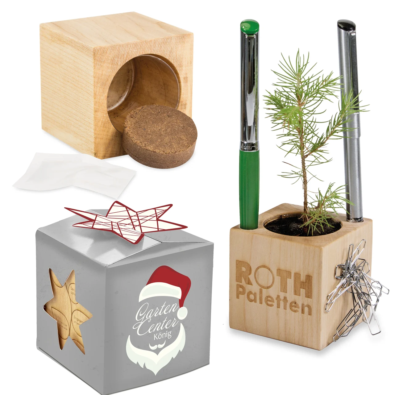 Plant Wood Office Star-Box julgåva