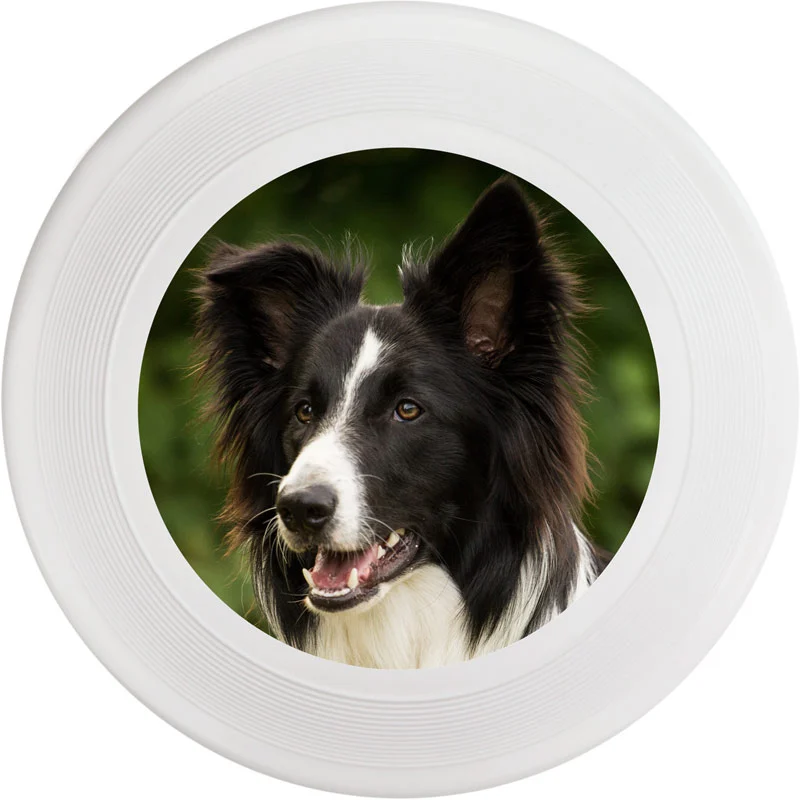Frisbee för hund med eget tryck