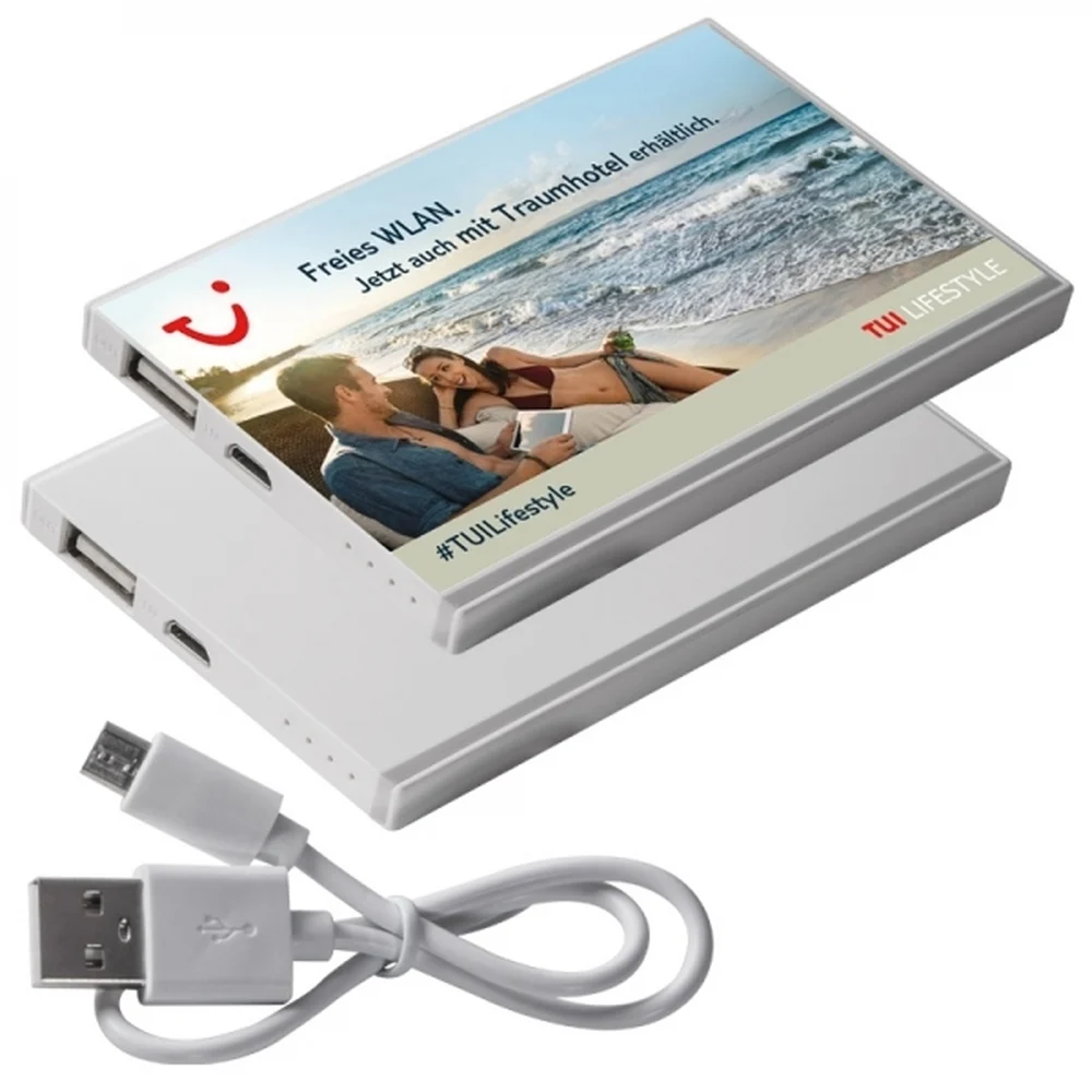 Akupank 2200 mAh PINEVILLE