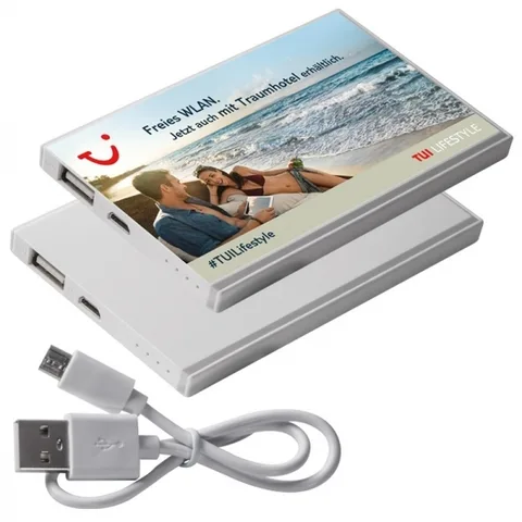 Akupank 2200 mAh PINEVILLE