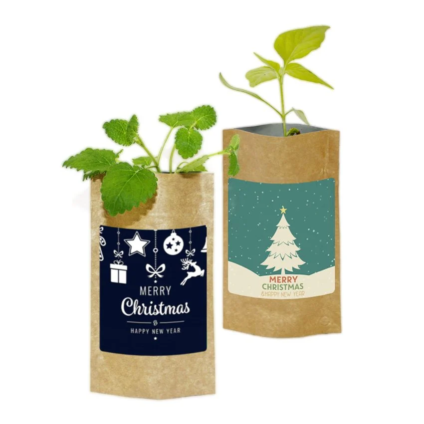 Odlingsset Ecobag