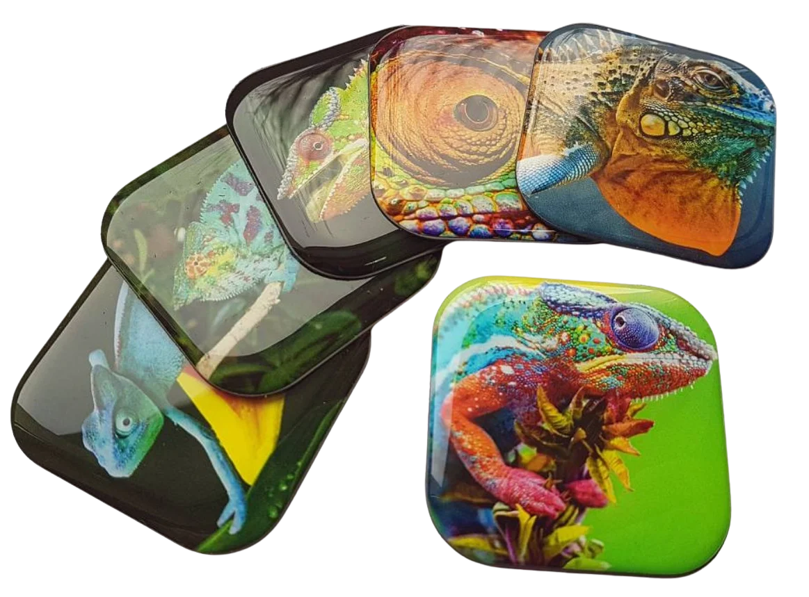 3D-magneter och anteckningsböcker med kupolformad epoxydekal