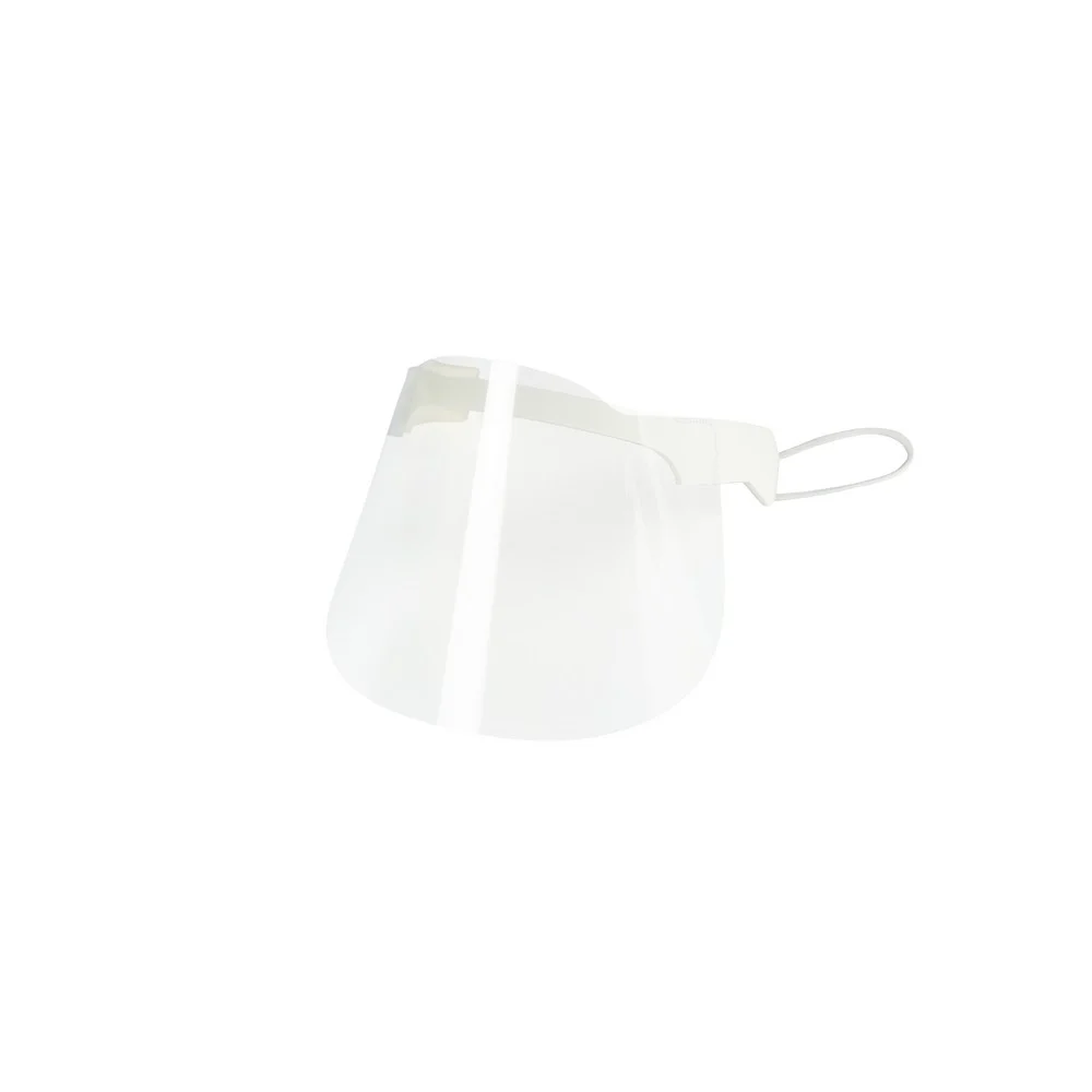 Nose and mouth shield