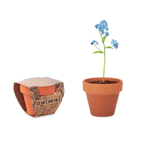 Savist terracotta-pott koos meelespeaseemnetega