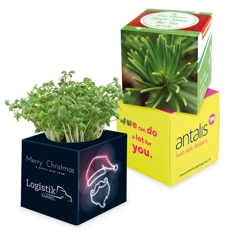 Plant-cube 2.0. Tops taimede kasvatamiseks