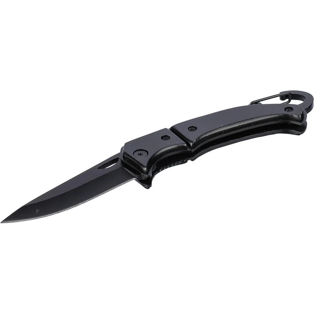 Fickkniv