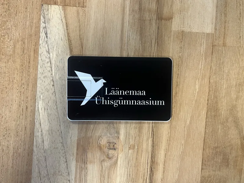 Kreditkarten-USB-Sticks mit Logo | Läänemaa ÜG Beispiel