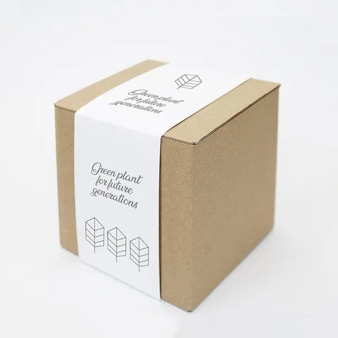 Nature box — kasvatuskomplekt suure turbapotiga